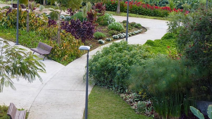 Jardim-Madalenas02